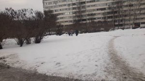 Автобус 127. Коломяги, Автобусный парк 2 - Арцеуловская алл.