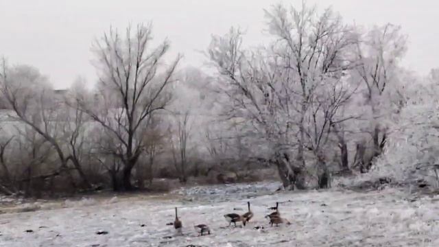 новый год наступил. 2023 смотреть онлайн