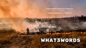 WHAT3WORDS. Иди на три весёлых слова!