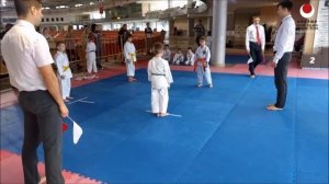 Соревнования по традиционному каратэ. JKA Karate Competitions.