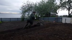 Электрокультиватор в работе.