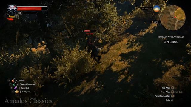 The Witcher 3: Wild Hunt Gameplay - The Scoia'tael Thieves Ultra 4K 60FPS смотреть онлайн