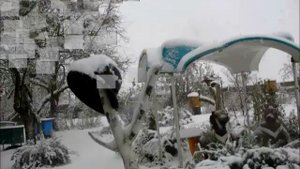 Жужа и Сандра! Первый снег.. Завiруха мяце завiруха Ты куды мяне клiчаш паслухай ..