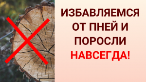 Удаление деревьев, пней и поросли без корчевания.