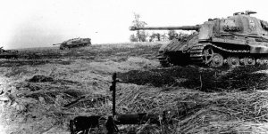 Блицкриг в болотах. Танковый корпус идет на Минск 1944