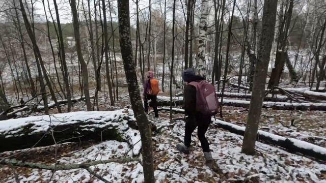 Молгачи