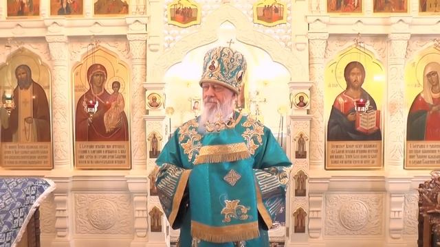 МЫ СРЕДСТВО #ПРЕВРАТИЛИВЦЕЛЬ! Августин (Анисимов), епископ Городецкий и Ветлужский. смотреть онлайн