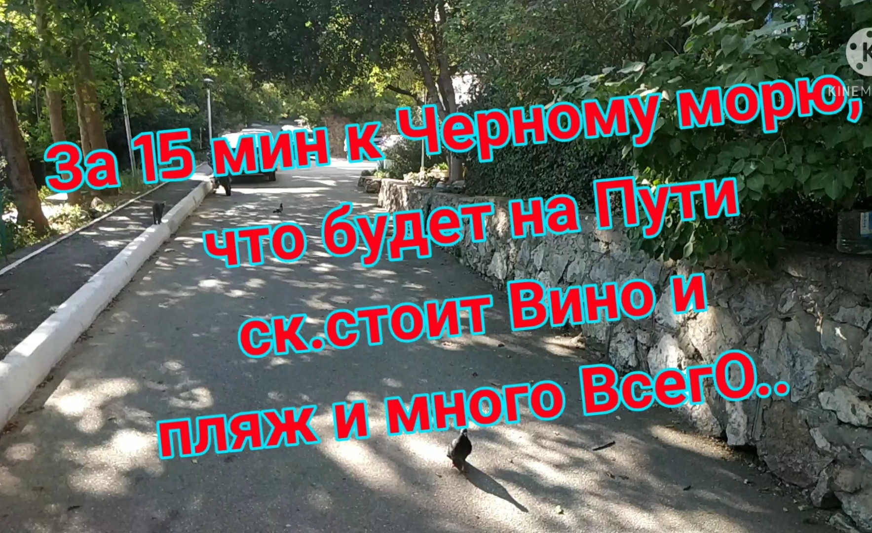 За 15 мин к Чёрному морю, что будет на Пути ,ск. стоит Вино и пляж и много ВсегО