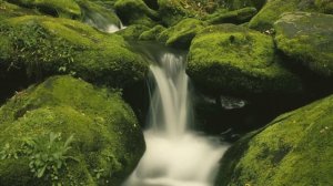 Медитация для восстановления эмоционального состояния