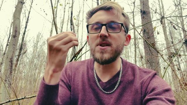 С чего начать менять свою жизнь. Промежуточные итоги и осознания | Изменить жизнь за 90 дней.День 1 смотреть онлайн