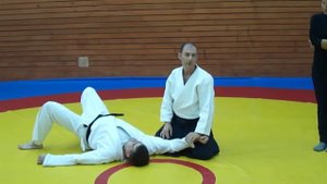 Семинар Ёсинкан Айкидо Жак Пайе. 2011