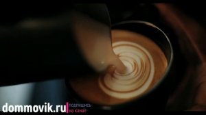 Не выбрасывайте кофейную гущу: спитой кофе для цветов
