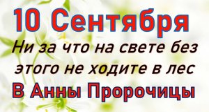 10 сентября народный праздник День Анны. Что нельзя делать. Народные традиции и приметы_Розмарин