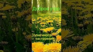 С добрым утром.Из к/ф Ласковый май.