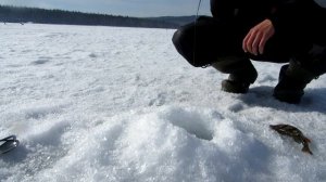 ВЕСЕННЯЯ РЫБАЛКА В БРАТСКЕ|СЕДАНОВО|