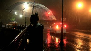 МЯГКИЙ ДОЖДЬ