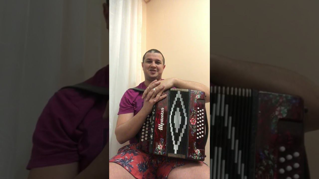 Отзыв ученика . Обучение по скайпу ! Школа Тена Сергея. Уроки игры на гармони , баяна, аккордеоне ! смотреть онлайн