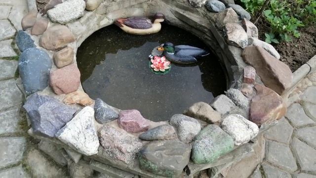 Прудик из колеса, дно залить цементом смотреть онлайн