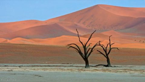 Arabian Music - Meditation in Desert , Arabian Flute & Arabian Nights