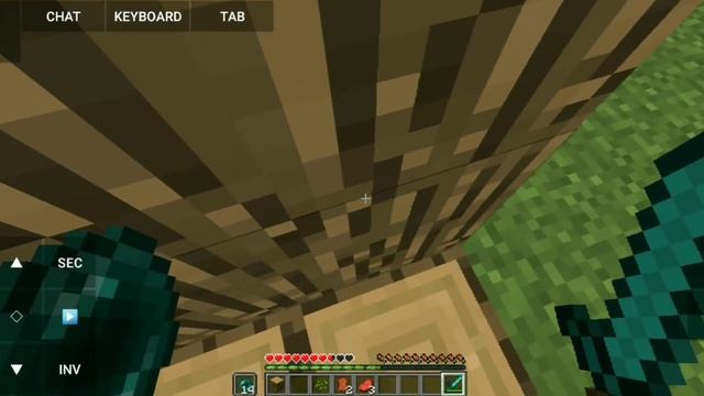 Minecraft Java edition provide/ LION GAMING ? смотреть онлайн