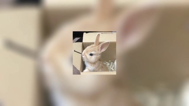 на кого ты меня променял speed up смотреть онлайн