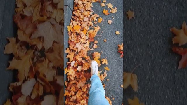 Шуршание сухих осенних листьев