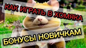 ХАМСТЕР КОМБАТ ЧТО ЭТО ТАКОЕ?! КАК ИГРАТЬ ПРАВИЛЬНО И БЫСТРО ПРОКАЧАТЬ СВОЕГО ХОМЯКА.