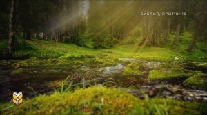 Книга Притчей под звуки природы. Современный перевод Библии #biblevision