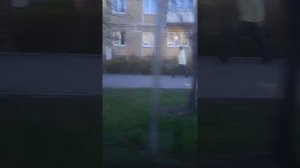 setra s 315  калининград