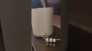 Ультразвуковой увлажнитель воздуха ELECTROLUX  TopLine EHU-5010D/5015D.