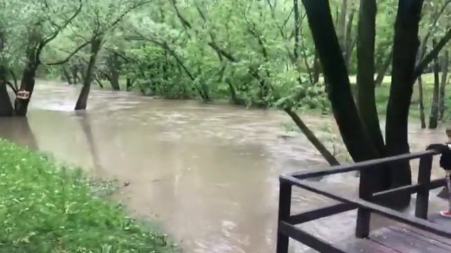 разлив реки на прогулке в москве смотреть онлайн