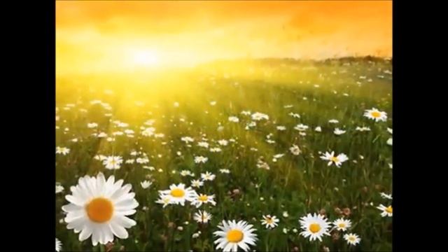 Россия Бирюковой В Савельева И В смотреть онлайн