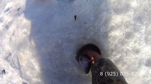 Рыбалка Пионерский пруд 21.02.2015