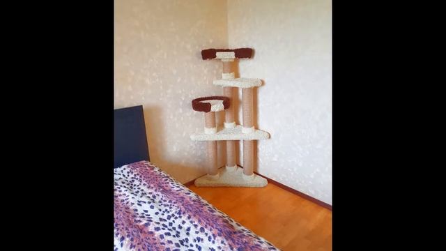 Игровой комплекс для кошки смотреть онлайн