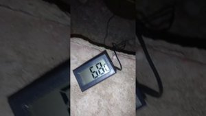 Температура воды в лотосах на зимовке в погребе.