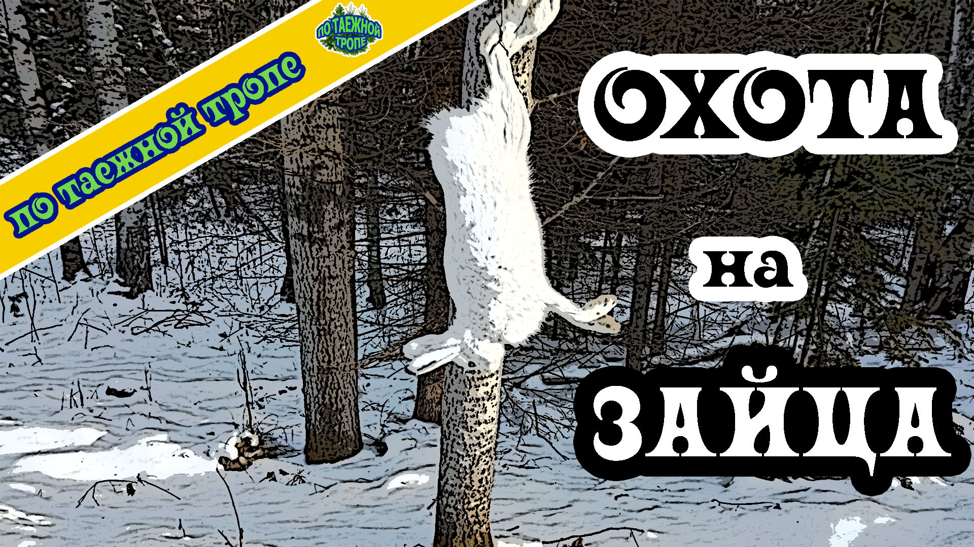 Охота на зайца петлями