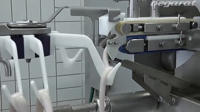 Уникальная система производства сосисок «без оболочки» от VEMAG CC215