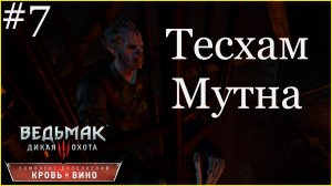 Ведьмак 3 Кровь и Вино Отзвук Тесхам Мутна #7