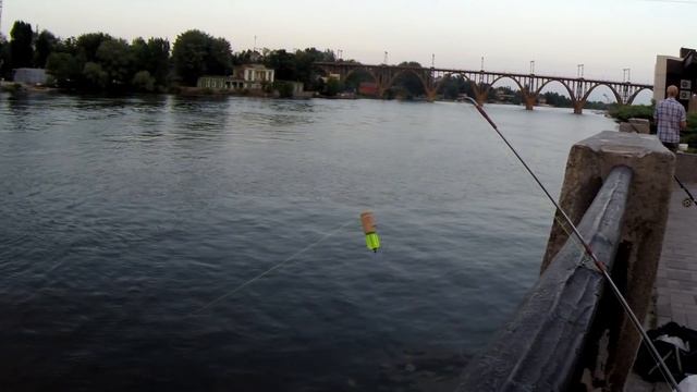 На что ловить сома с берега? Рыбалка на сома с набережной. Где достать наживку?