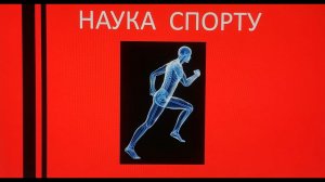 Три системы энергообеспечения. В доступном представлении для тренера и спортсмена.