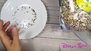 Меня бомбит. Треш с Wildberries.