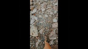 Шепелевский Маяк