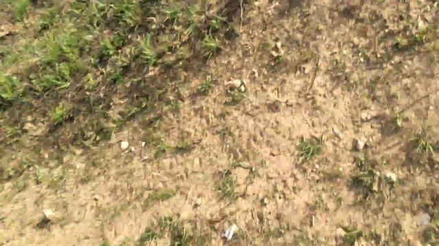 Прыжок на хонде дио смотреть онлайн