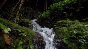 Тайна 9 ой планеты