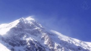 ? Cold Howling Snowstorm Ambience in the Mountains of Austria. Perfect for Sleeping and Relaxing.