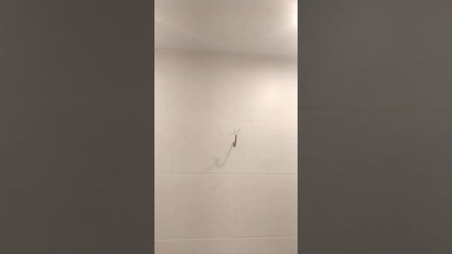 Ремонт сан узла в частном доме итог смотреть онлайн