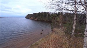 Деревня Пичугино.