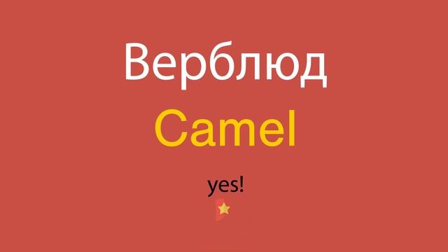 Верблюд по-английски смотреть онлайн