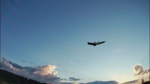 Берегите природу. Самолет Chaser C-1.