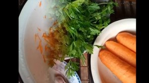 Квашеные баклажаны, фаршированные овощами